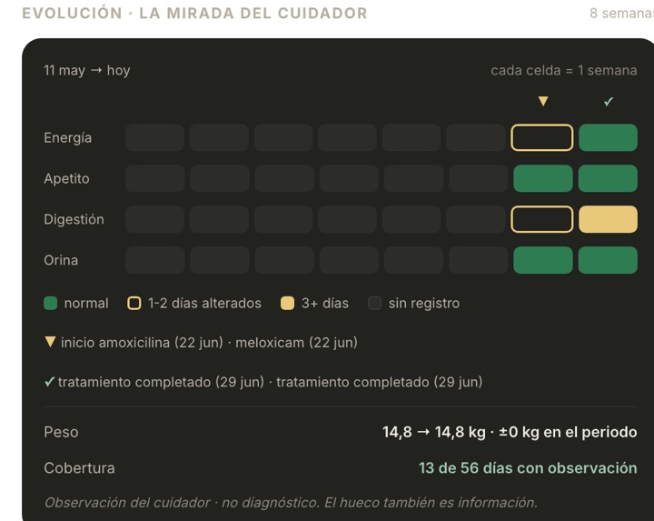 La cuadrícula de evolución de 8 semanas